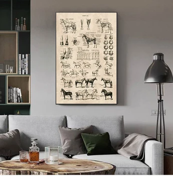 Vintage Francoski Konj Anatomija Grafikon Natisne Biologijo Wall Art Dekor , Konj Ilustracije Živali Plakat Platno Slikarstvo Urad Dekor